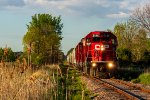 CP 3134